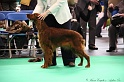 Crufts2011 356